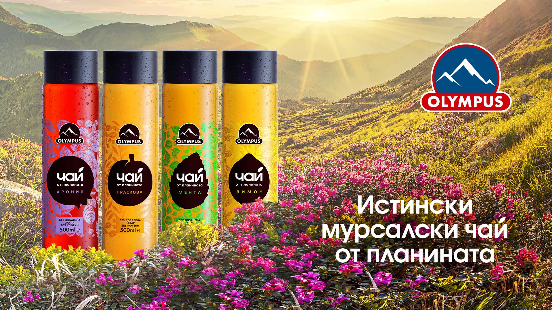 Студен чай Olympus: Глътка здравословна свежест от планината