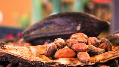 Какаови зърна