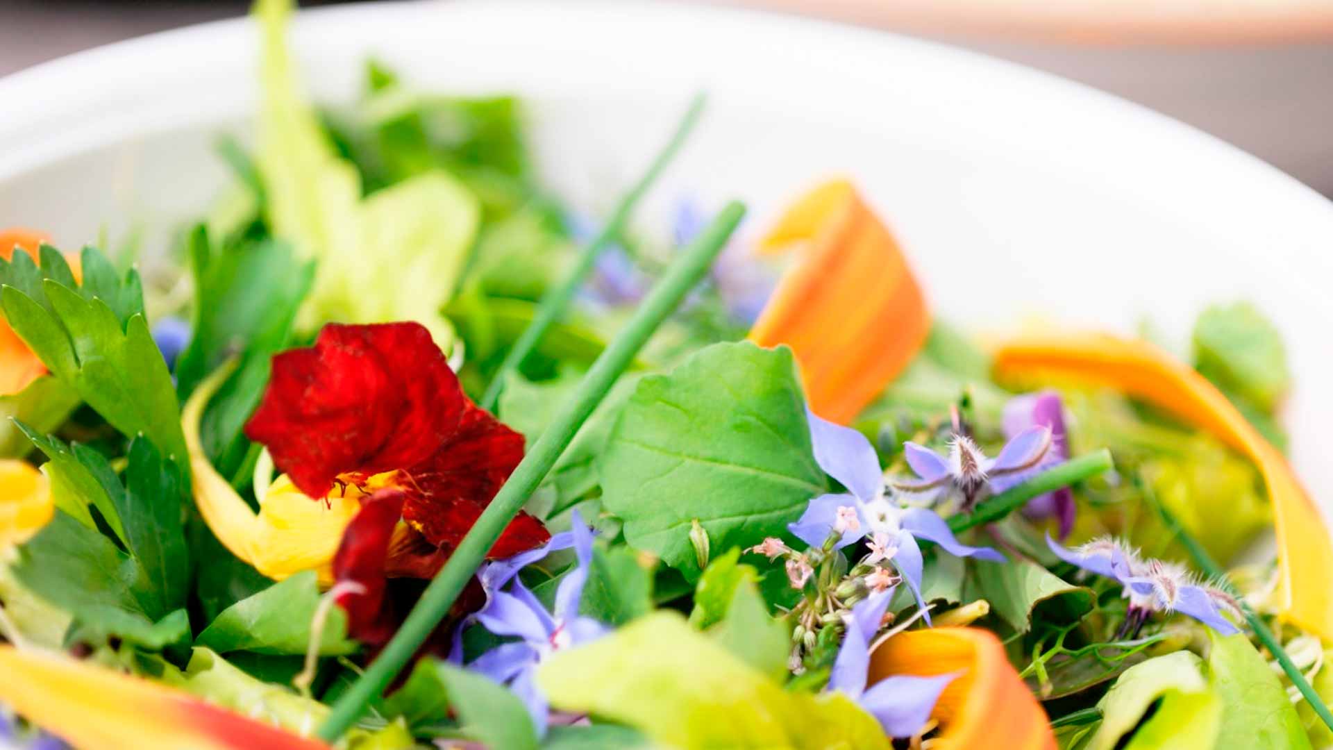 Бяла порцеланова чиния със свежа салата с цветя за ядене