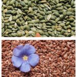 Колаж от 4 снимки на чия, лелено семе, тиквено семе и слънчогледови семки