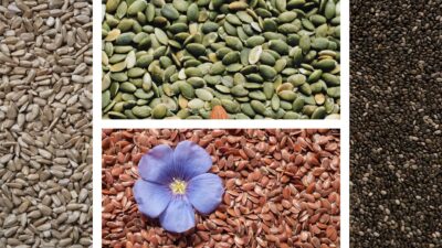 Колаж от 4 снимки на чия, лелено семе, тиквено семе и слънчогледови семки