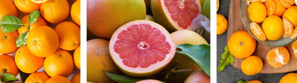 цитруси: портокали, грейпфрути, мандарини