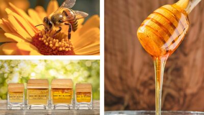 Bee My Bllom: био мед, цветя, подправки и… любов